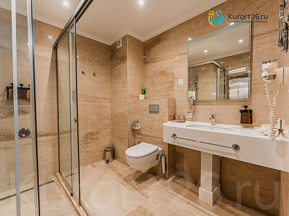  Санаторий &laquo;Елизавета&mdash;Минеральные Воды&raquo;, г. Железноводск. Номера